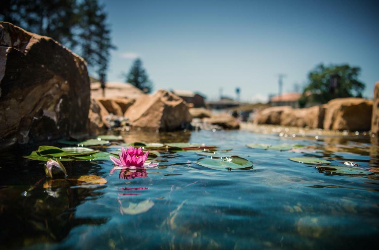 The Vue Boutique Hotel & Boathouse Wisconsin Dells Buitenkant foto